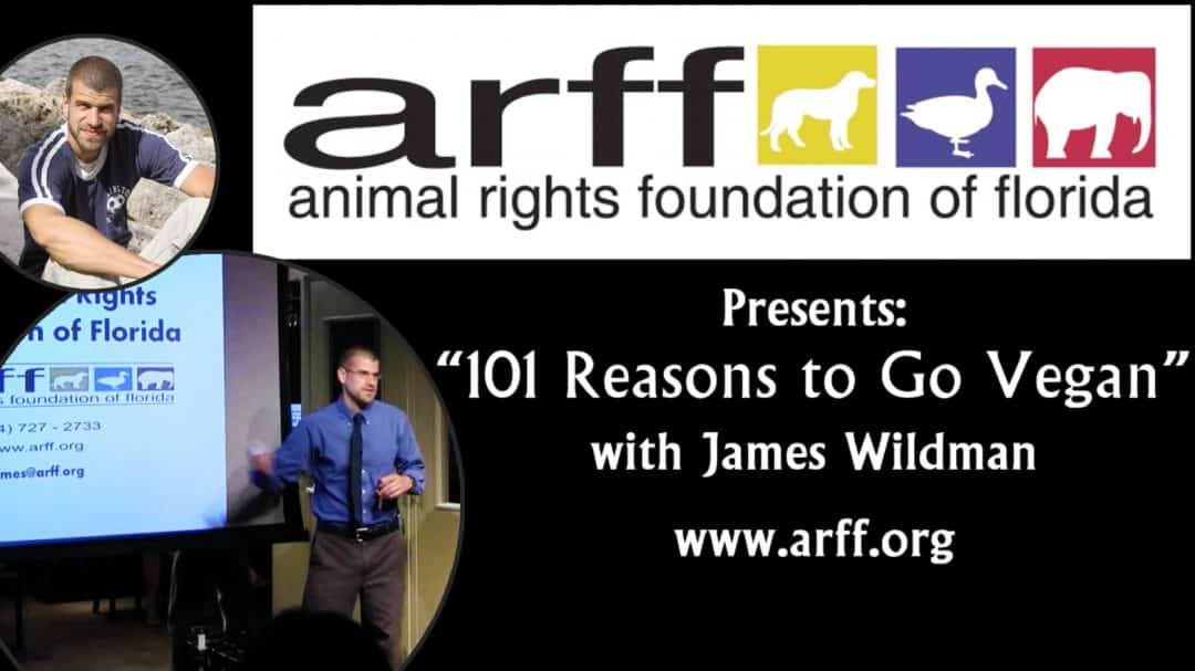 101 Reasons To Be Vegan Video